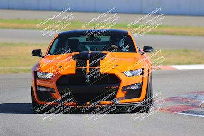 media/Oct-01-2022-Speed Ventures (Sat) [[c274cbe0b4]]/PURPLE GROUP/Session 3 Turn 13/